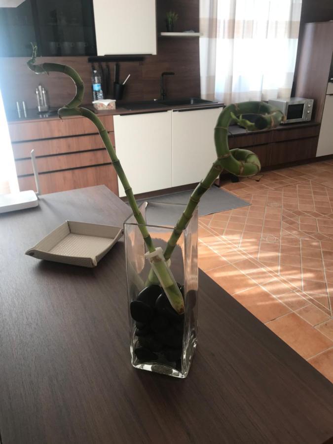 Il Borghetto Di San Giuseppe Etnarooms&Apartments 尼科洛西 外观 照片